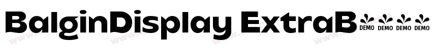 BalginDisplay ExtraB字体转换